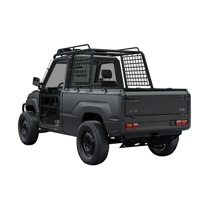 Koks yra mini EV pikapo praktiškumas?